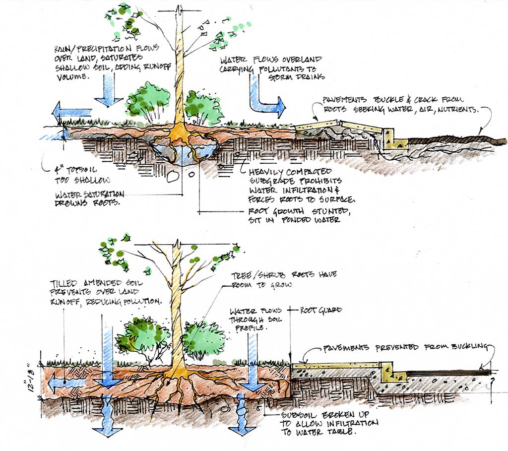 Deep Versus Shallow Soils: A Look Into Soil Amendments And Benefits ...